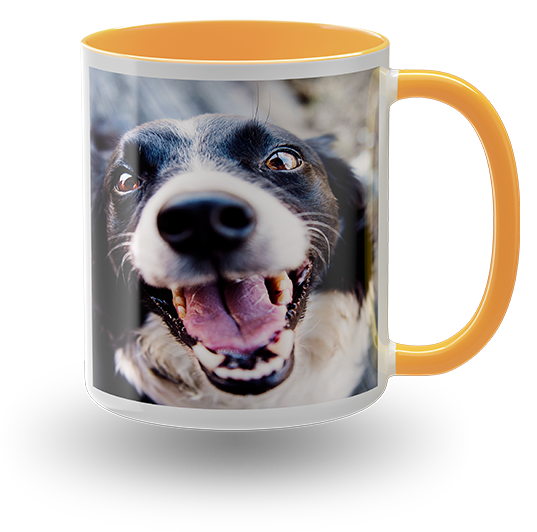 Bild von Empfehlungsgeschenk asdfas